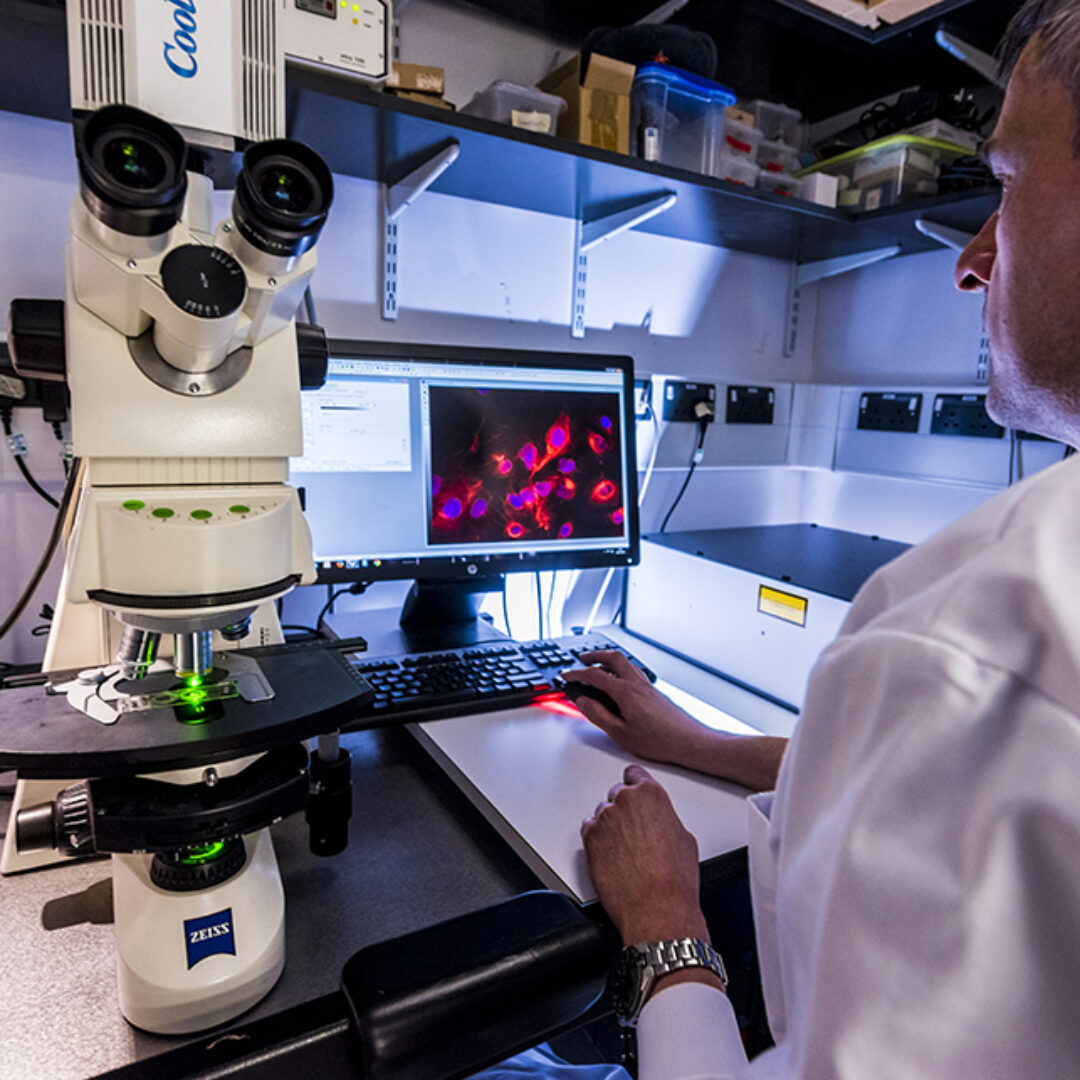 A researcher using a microscope